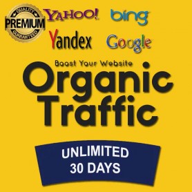 Non Stop Unlimited ORGANIC WEB TRAFFIC for 30 Days - Success Guarantee