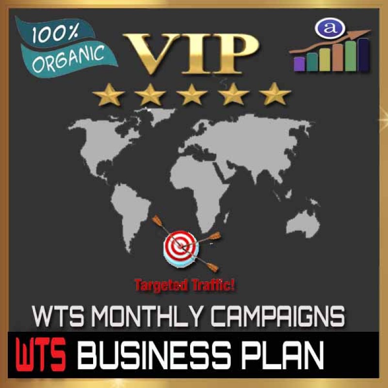 VIP WEB TRAFFIC MONTHLY CAMPAIGN - BUSINESS PLAN - 100K VISITORS / 2 URL