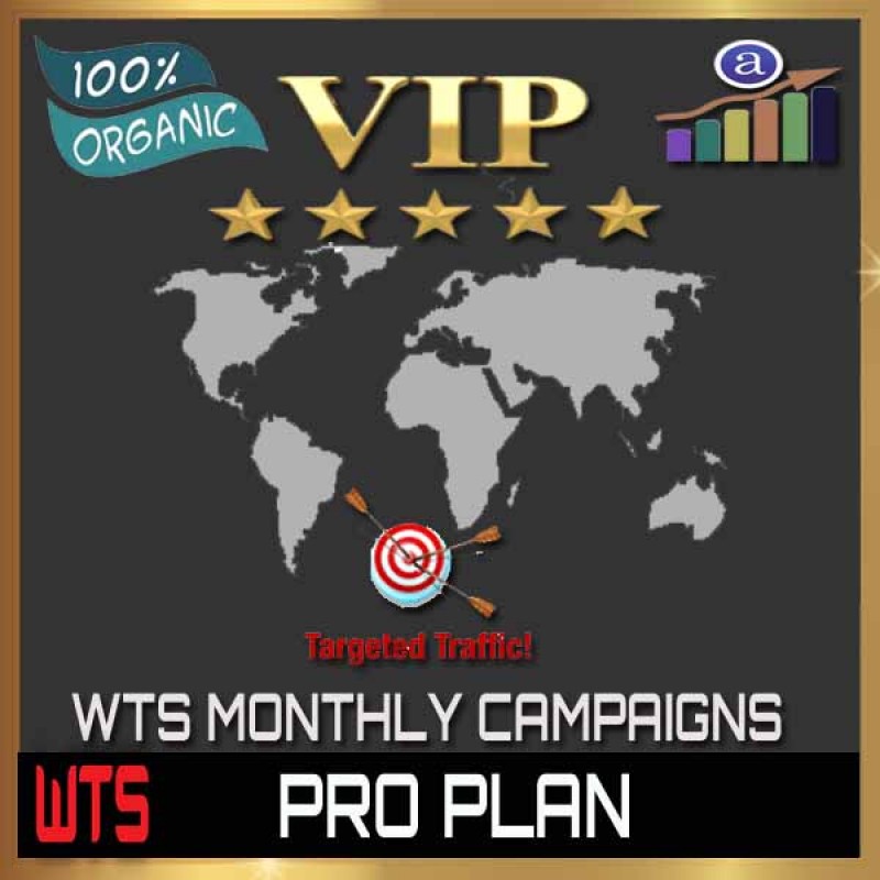 VIP WEB TRAFFIC MONTHLY CAMPAIGN - PRO PLAN - 200K VISITORS / 4 URL
